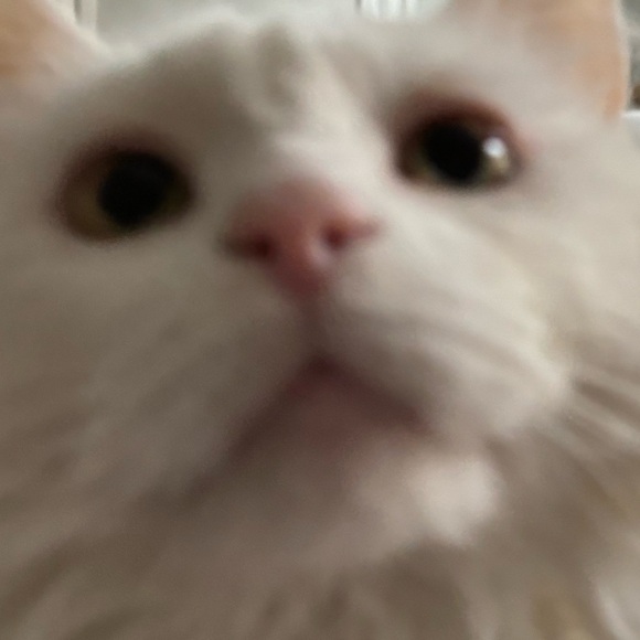 jmaytum04